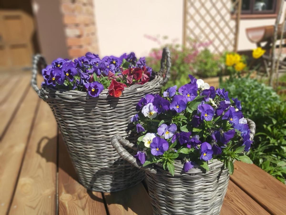Swojski Gosciniec Prażmowo Dış mekan fotoğraf