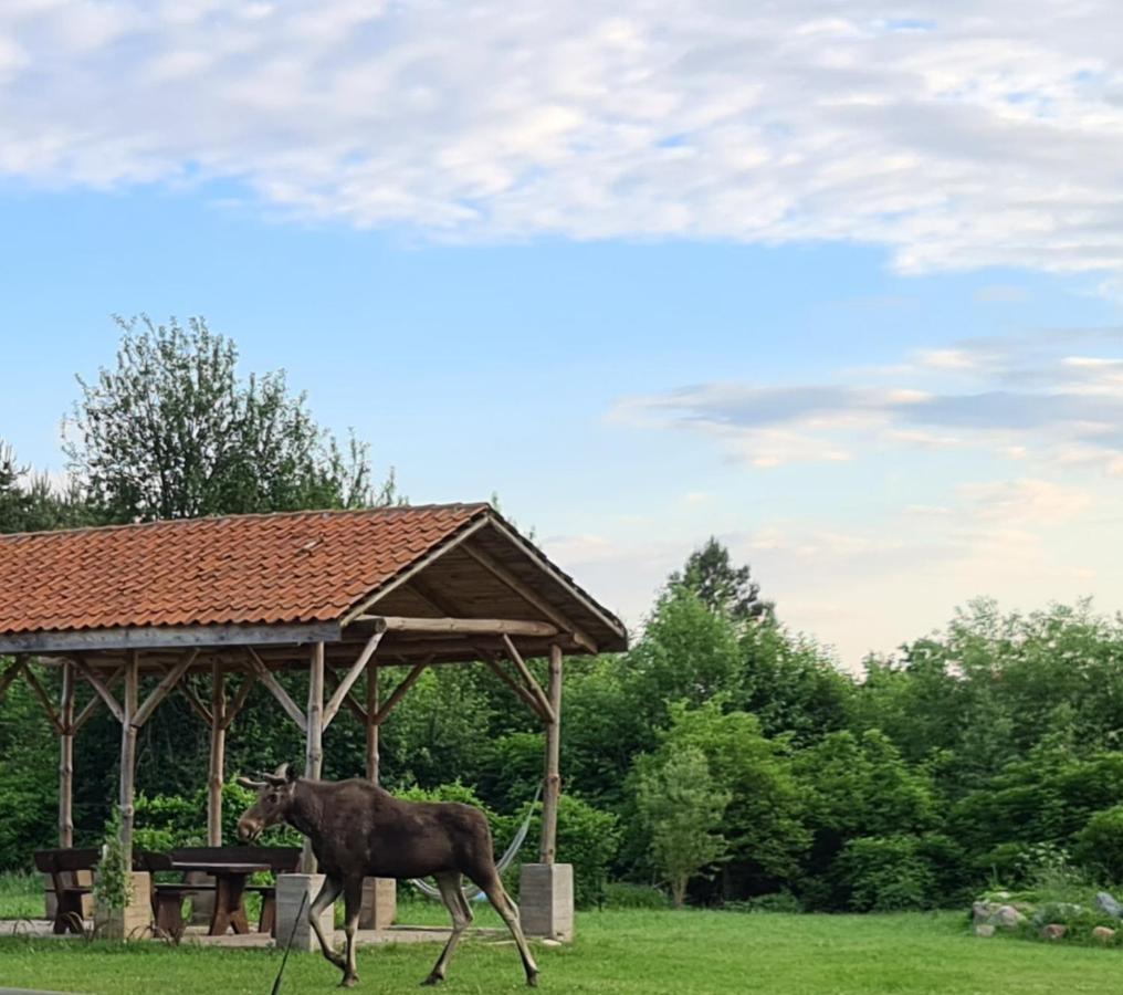 Swojski Gosciniec Prażmowo Dış mekan fotoğraf